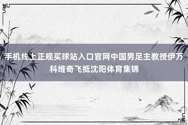 手机线上正规买球站入口官网中国男足主教授伊万科维奇飞抵沈阳体育集锦