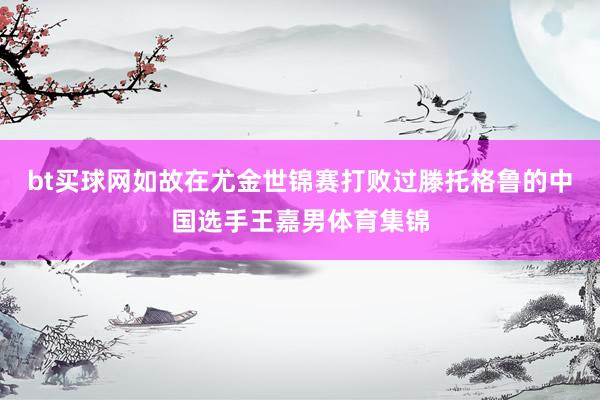 bt买球网如故在尤金世锦赛打败过滕托格鲁的中国选手王嘉男体育集锦