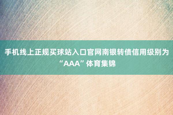 手机线上正规买球站入口官网南银转债信用级别为“AAA”体育集锦