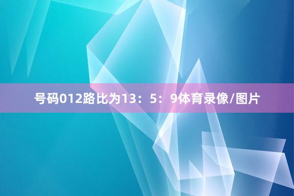 号码012路比为13：5：9体育录像/图片