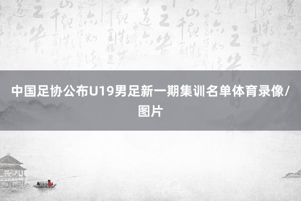 中国足协公布U19男足新一期集训名单体育录像/图片