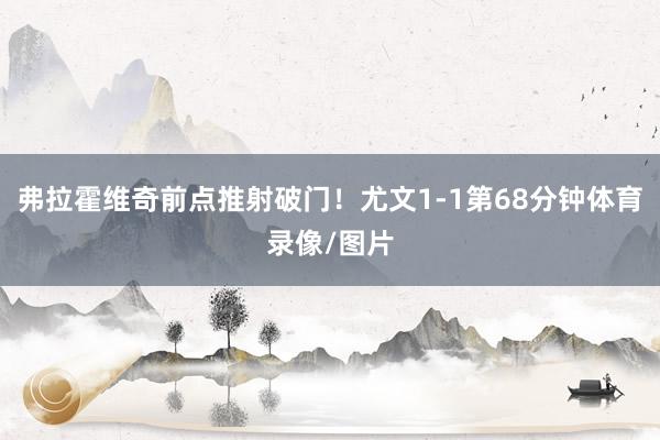 弗拉霍维奇前点推射破门！尤文1-1第68分钟体育录像/图片