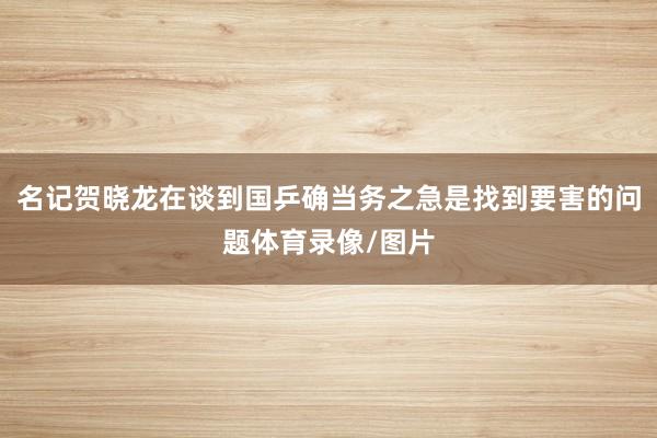 名记贺晓龙在谈到国乒确当务之急是找到要害的问题体育录像/图片