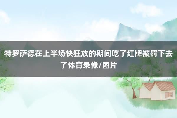 特罗萨德在上半场快狂放的期间吃了红牌被罚下去了体育录像/图片